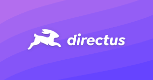 Directus logo