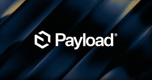 Payload CMS logo